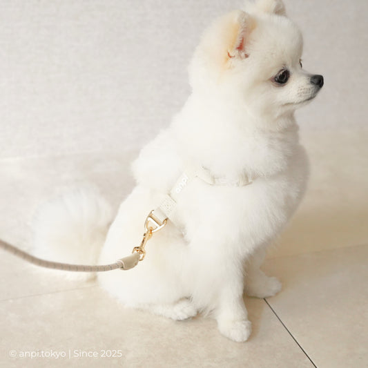 4way リード&ゴールド