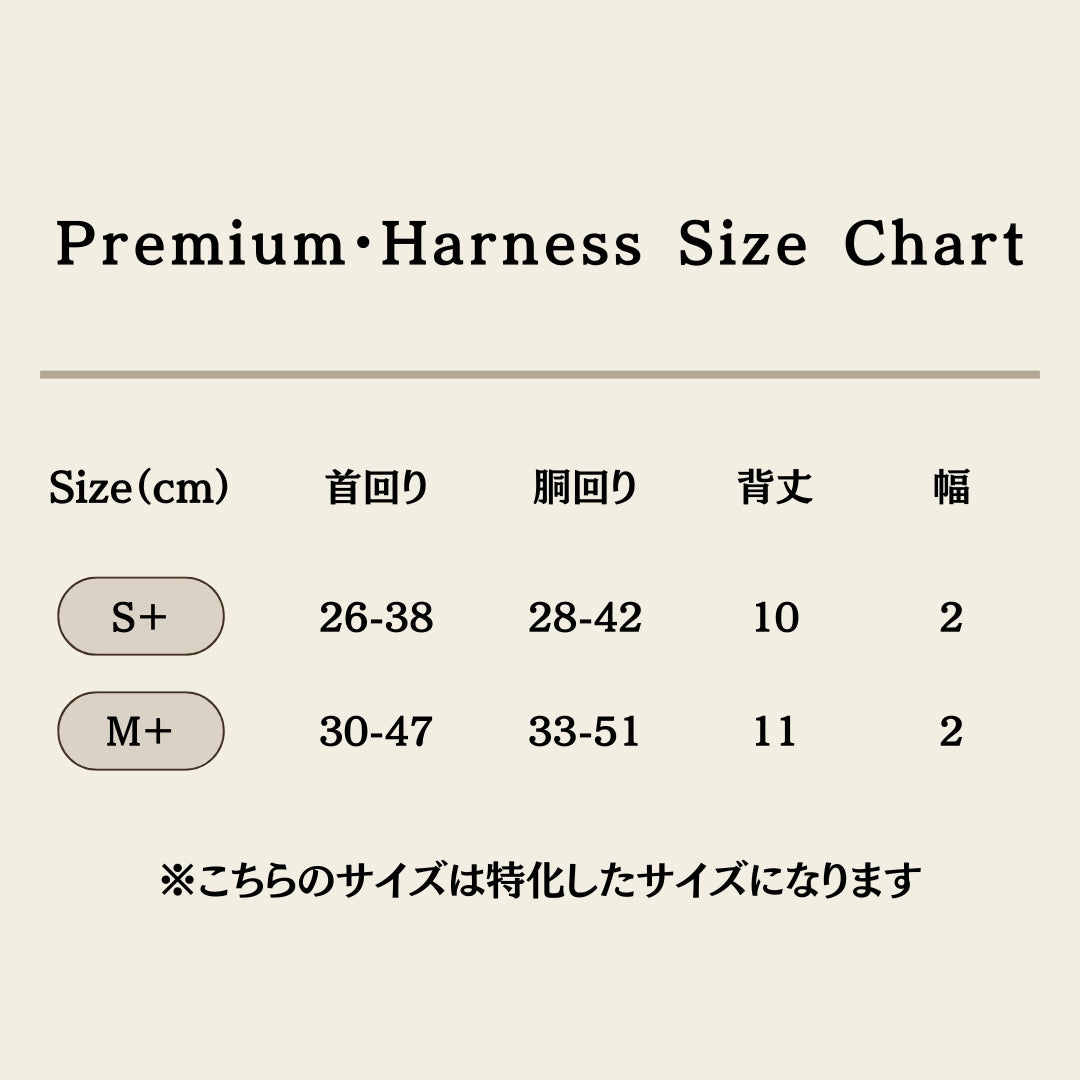 2way ハーネス&ゴールドAカン