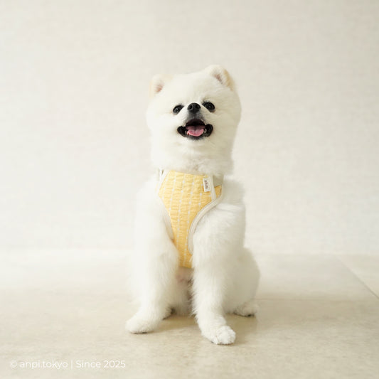 ハーネスパッド・ひまわりイェロー