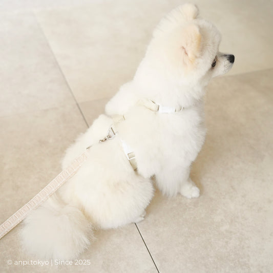 2way ハーネス &アルミAカン