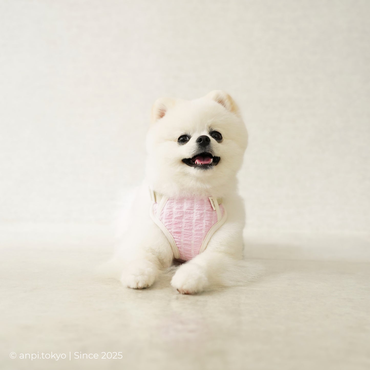 ハーネスパッド・さくらピンク