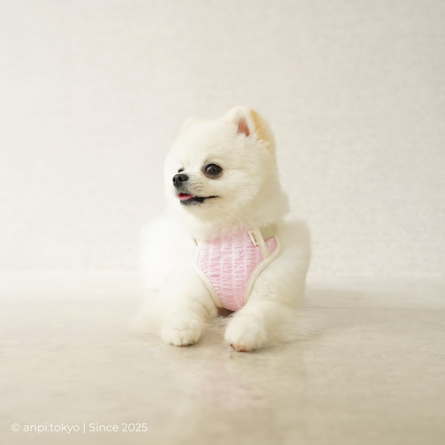 ハーネスパッド・さくらピンク