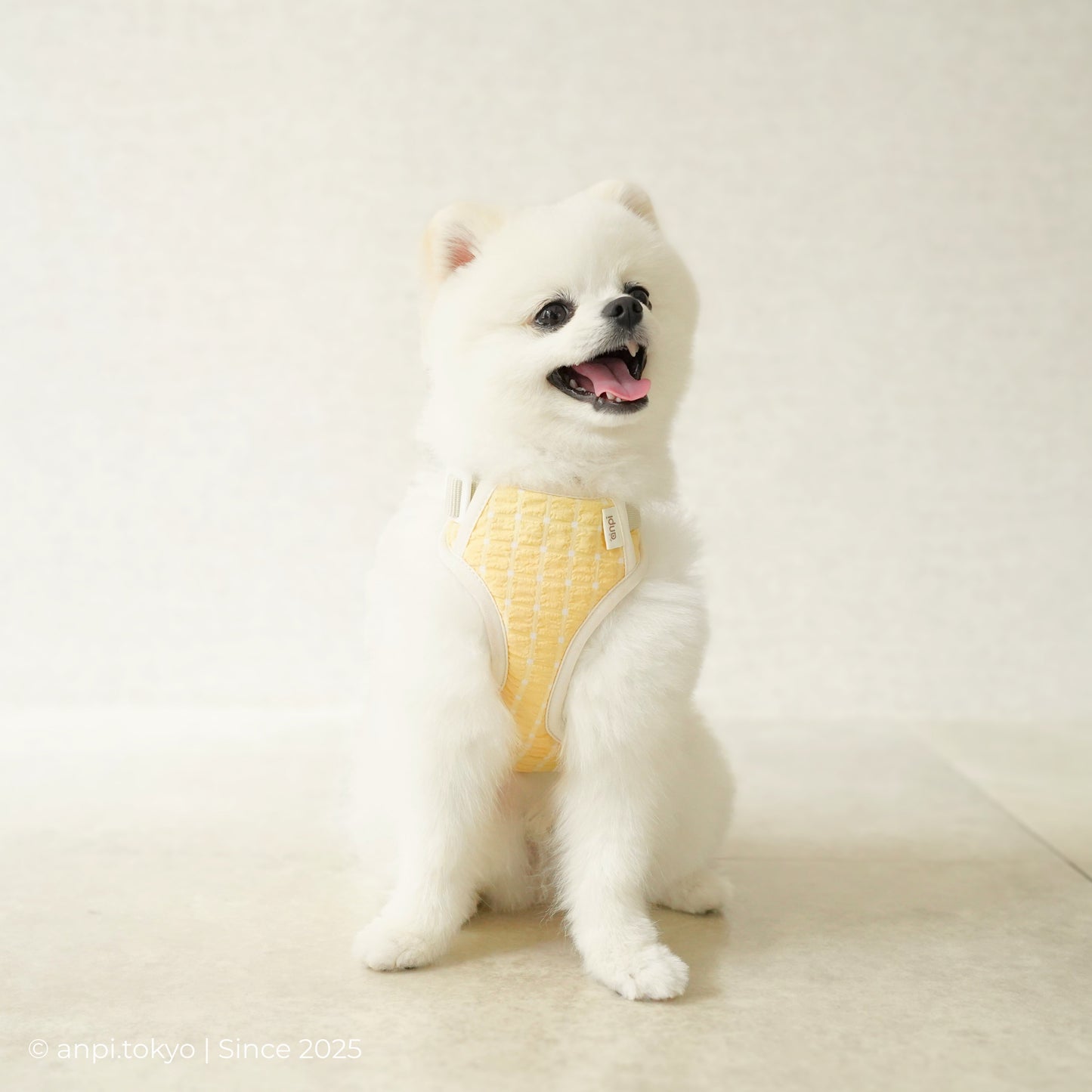 ハーネスパッド・ひまわりイェロー